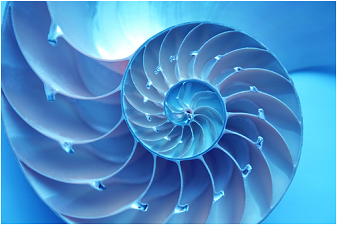 C:Users/Dropbox/Development/Website Materials/Website Images/ Blue Nautilus for website C:Users/Dropbox/Development/Website Materials/Website Images/ Blue Nautilus for website